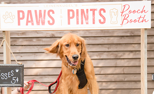 Paws and Pints