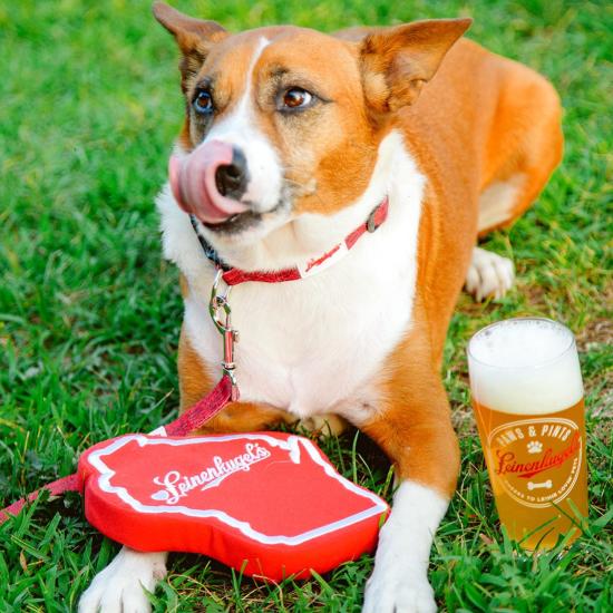 Leinenkugel’s is really delicious. Both the beer and the chew toys 🐶