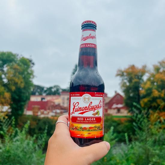 Fall colors 🤝fall beers